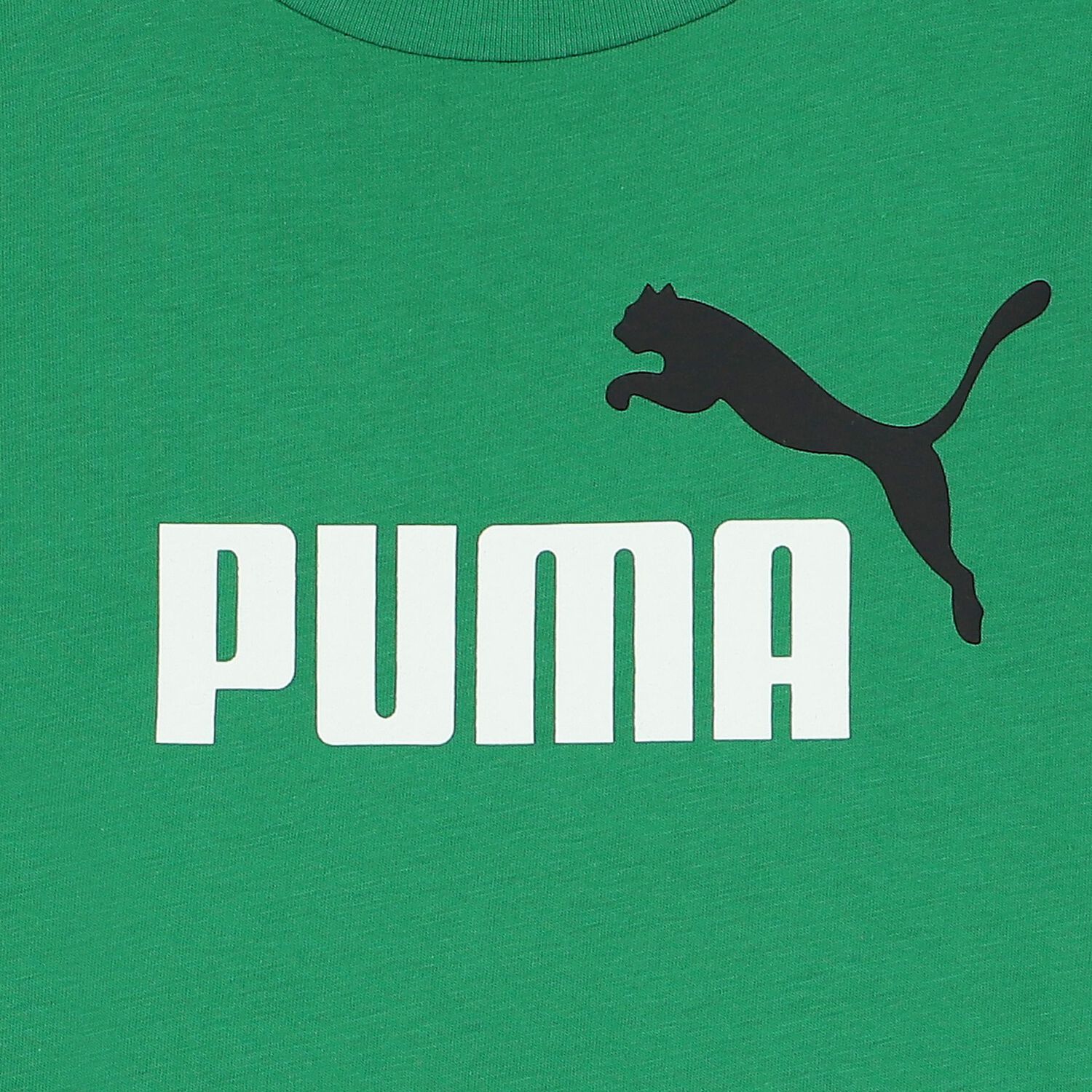 Boys Green Logo T-Shirt, 6, hi-res image number null