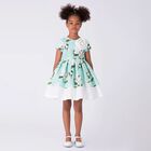 Girls Mint Green Floral Dress, 1, hi-res
