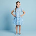Girls Blue Embellished Tulle Dress, 1, hi-res