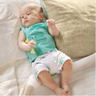  طقم شورت أولاد قطنية بطبعة الديناصور باللون الاخضر (قطعتين), 1, hi-res