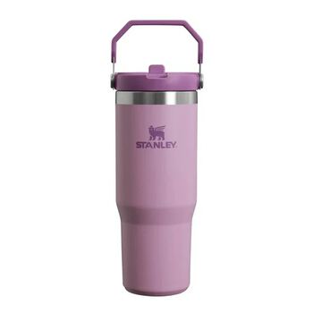 Girls Purple Ice Flow Flip Straw Tumbler