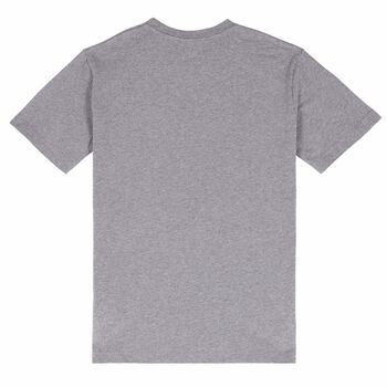 Boys Grey Printed T-Shirt