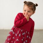 Younger Girls Red Heart Tulle Dress, 1, hi-res