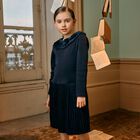 Girls Navy Blue Pleated Dress, 1, hi-res