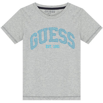 Boys Grey Logo T-Shirt