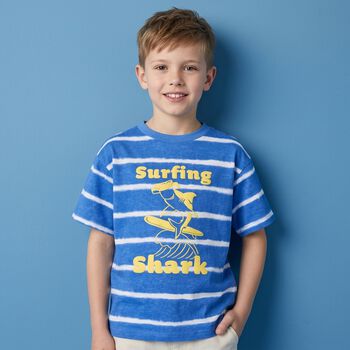 Boys Blue Striped T-Shirt