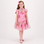 Girls Pink Floral Tulle Dress, 2, hi-res
