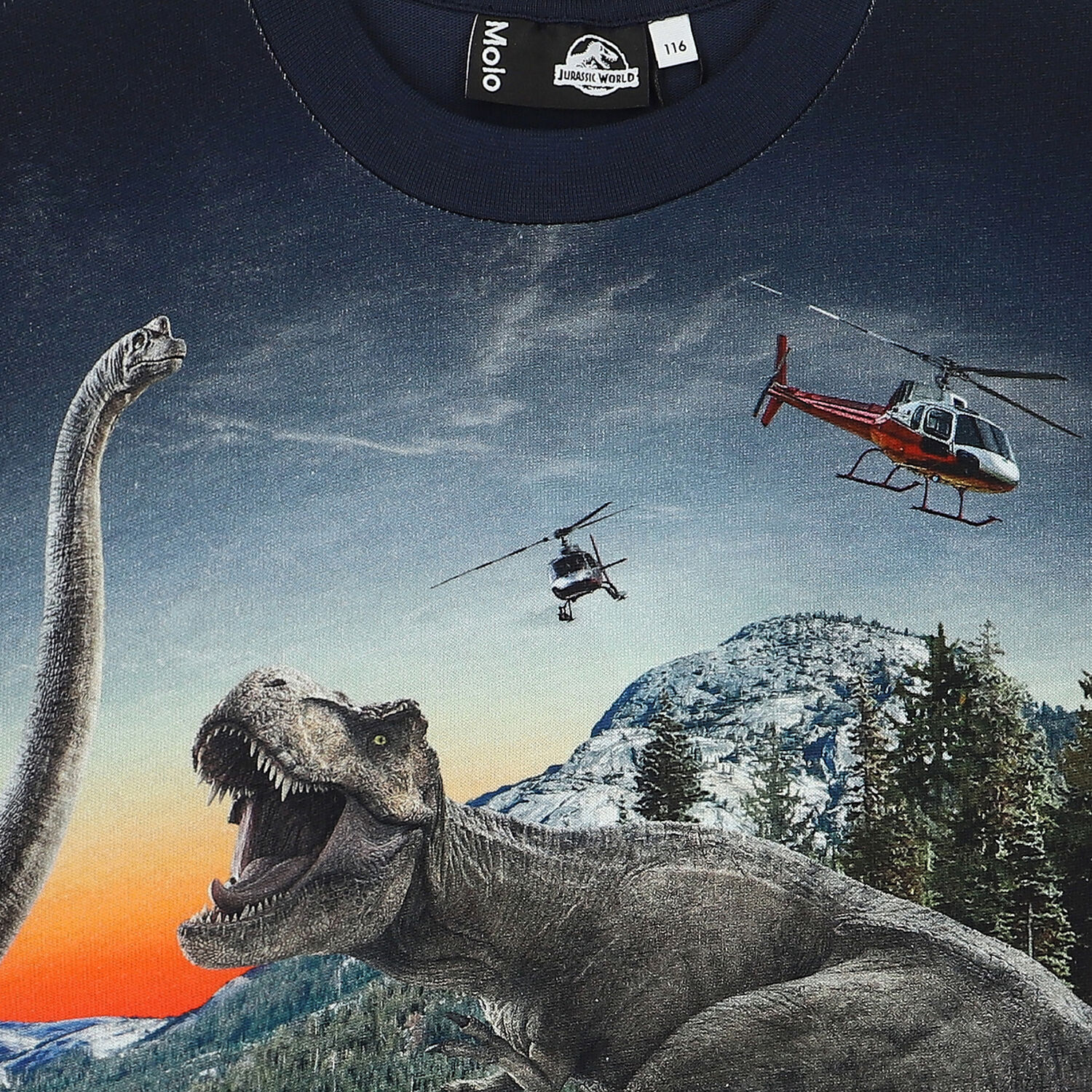 MOLO Boys Navy Dinosaur T-Shirt Junior Couture USA