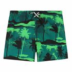 Boys Green Palm Tree Swim Shorts, 1, hi-res