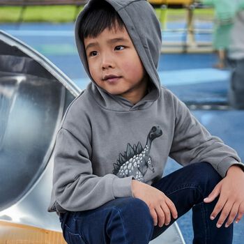 Boys Grey Dinosaur Hooded Top, 2 Boys Grey Dinosaur Hooded Top