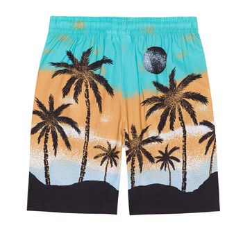 Boys Holiday Island Adi Shorts