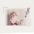 Girls Ivory Kitten Long Sleeve Top, 1, hi-res