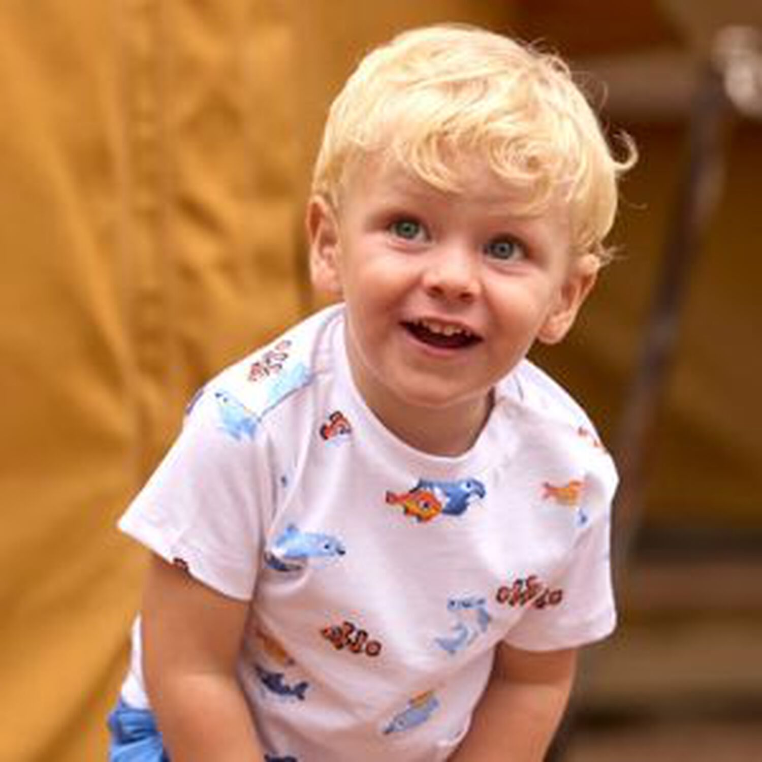 Younger Boys Blue & White T-Shirts ( 2-Pack ), 1, hi-res