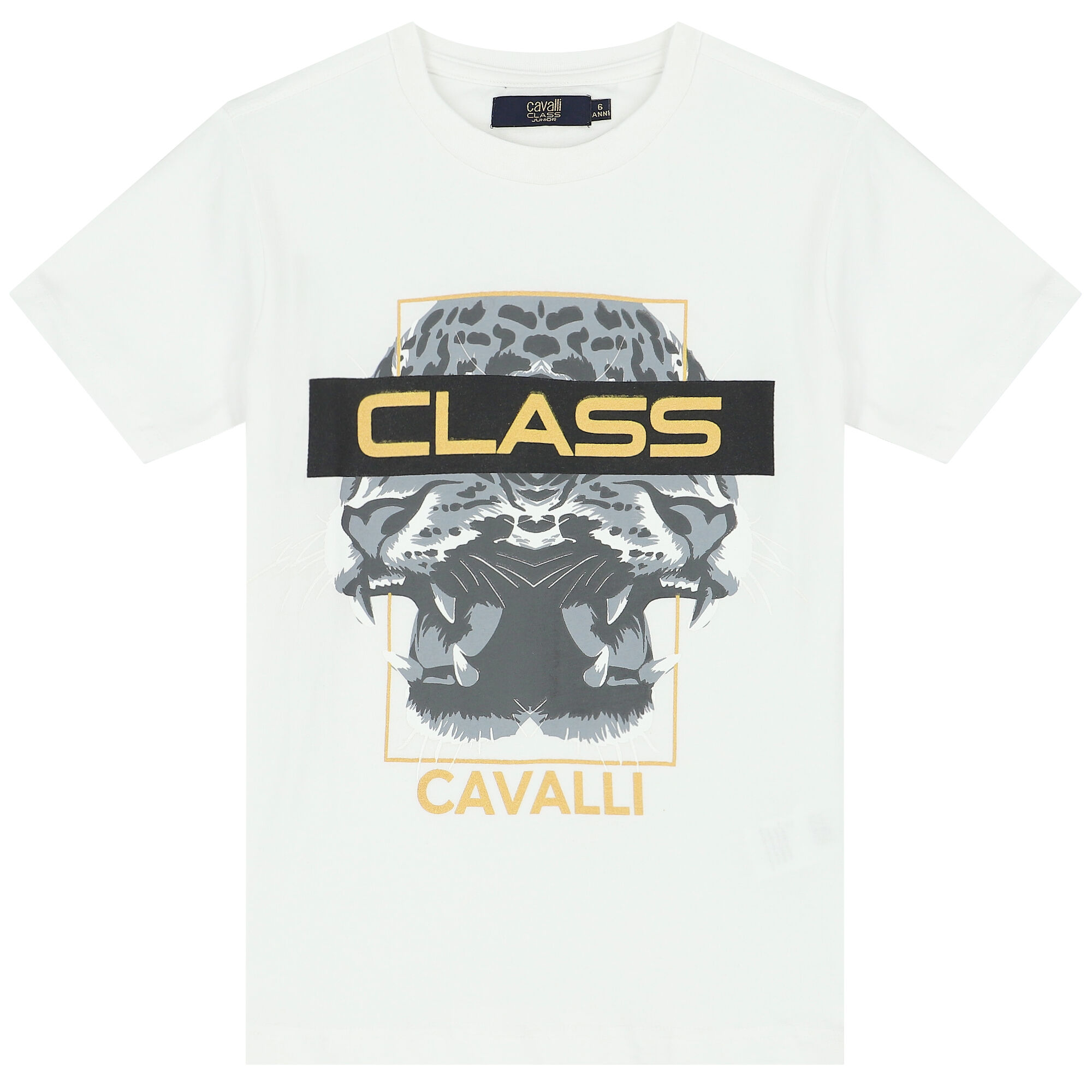 Cavalli class on sale logo