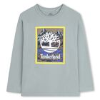 Boys Green Logo Long Sleeve Top, 1, hi-res