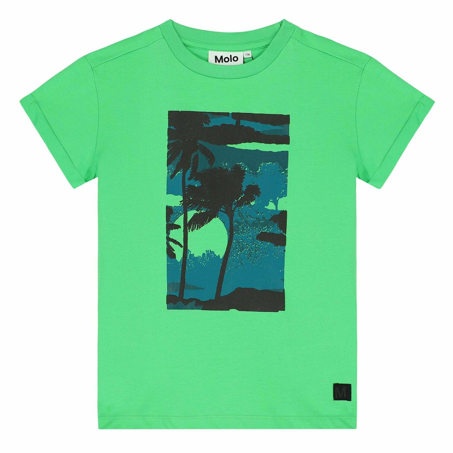 Boys Green Palm Tree T-Shirt, 1, hi-res