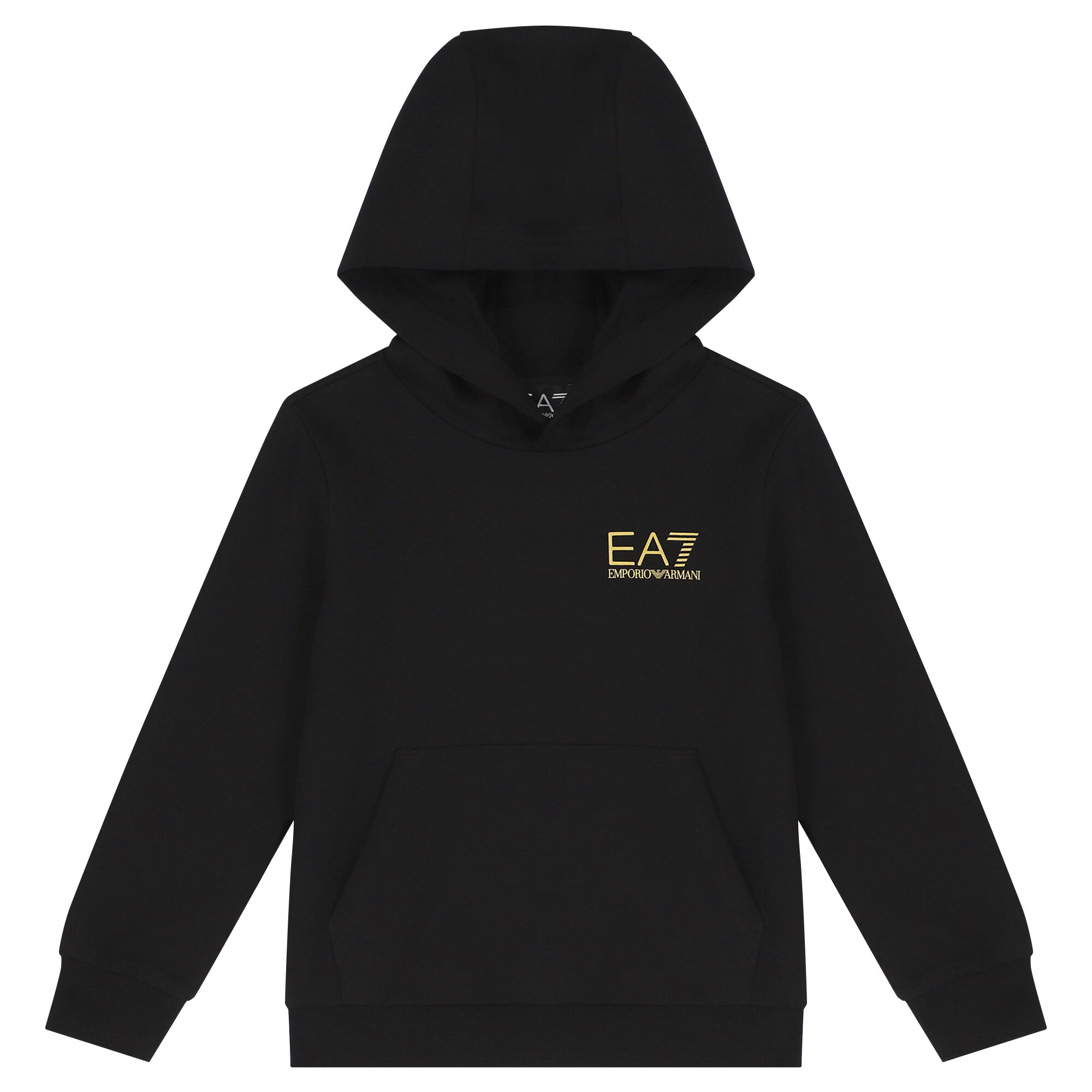 Emporio armani ea7 discount master hoodie