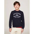Boys Navy Blue Logo Sweatshirts, 1, hi-res