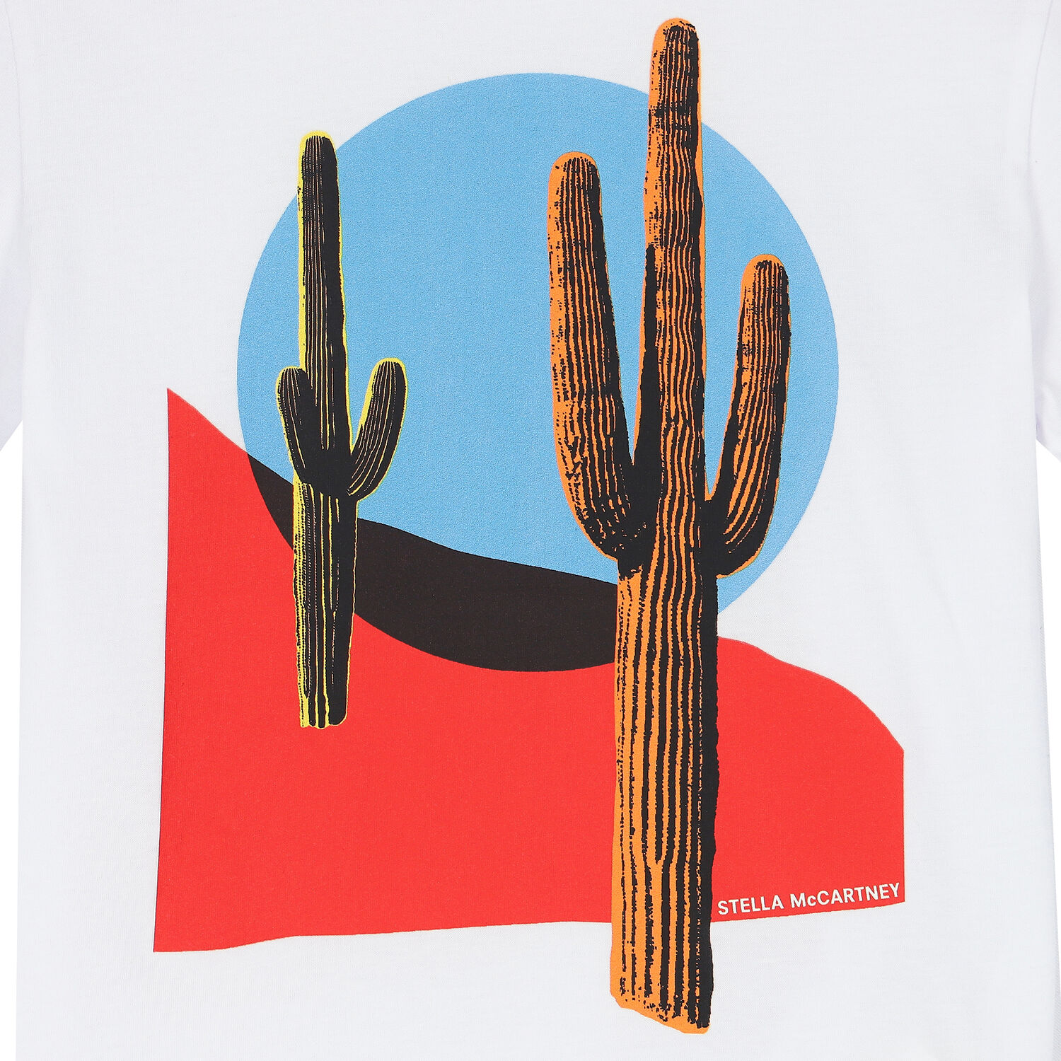 Boys White Cactus T-Shirt, 1, hi-res image number null