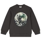 Boys Grey Planet Earth Sweatshirt, 1, hi-res