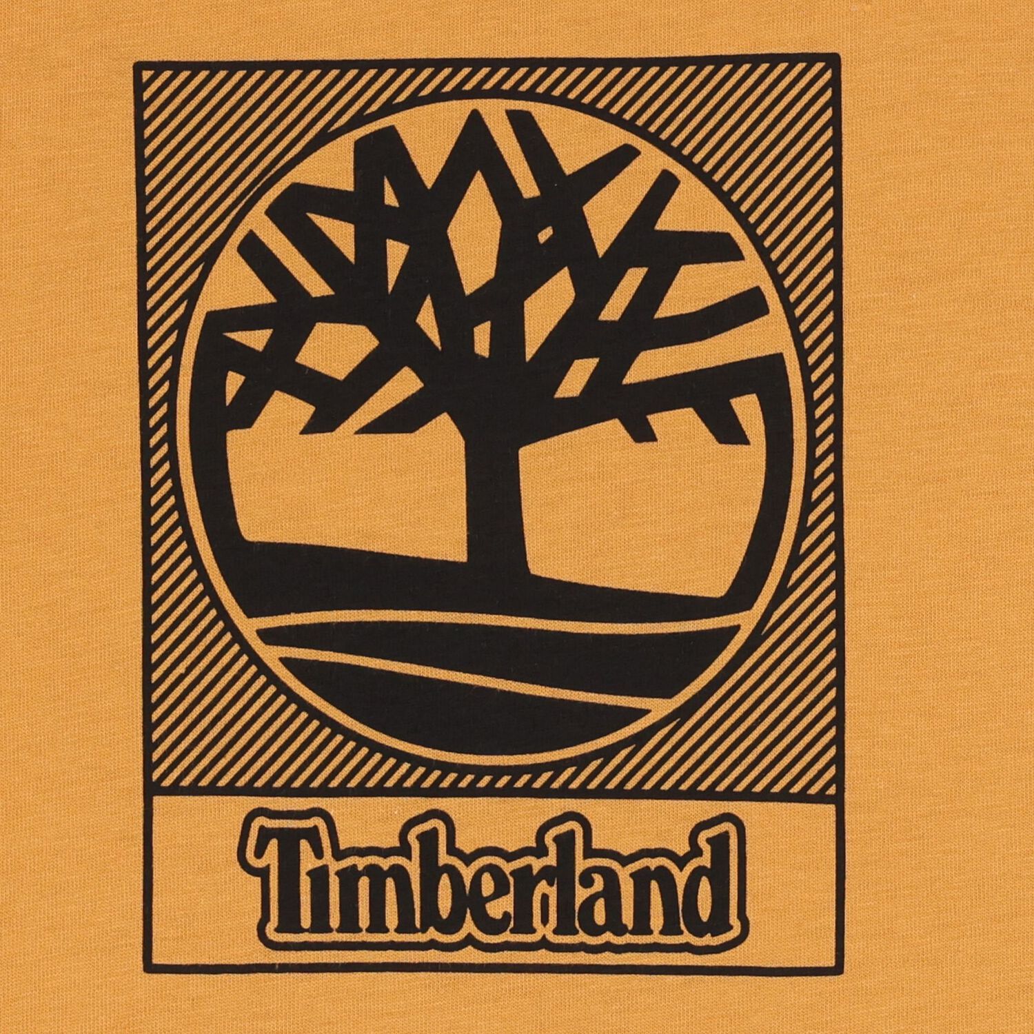 Boys Orange Logo T-Shirt, 1, hi-res image number null