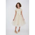 Girls Beige & Gold Tulle Dress, 1, hi-res