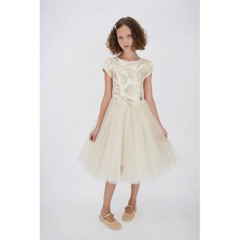 Girls Beige & Gold Tulle Dress