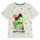 Boys Grey & Green Shorts Set, 1, hi-res