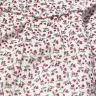 Baby Girls Ivory & Red Floral Dress, 1, hi-res