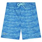 Boys Blue & Grey Swim Shorts, 1, hi-res