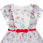 Girls Ivory Cherry Tulle Dress, 1, hi-res