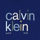 Boys Blue Logo T-Shirt, 1, hi-res