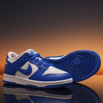 Blue & White Dunk Low Trainers
