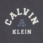 Boys Grey Logo Sweatshirt, 2, hi-res