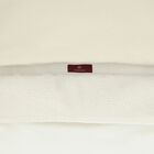 مدس اطفال بشعار تيدى بير باللون العاجى والبيج, 1, hi-res