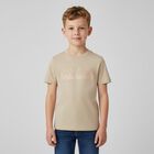 Boys Beige Logo T-Shirt, 3, hi-res