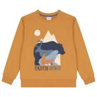 Boys Yellow & Blue Tracksuit, 1, hi-res