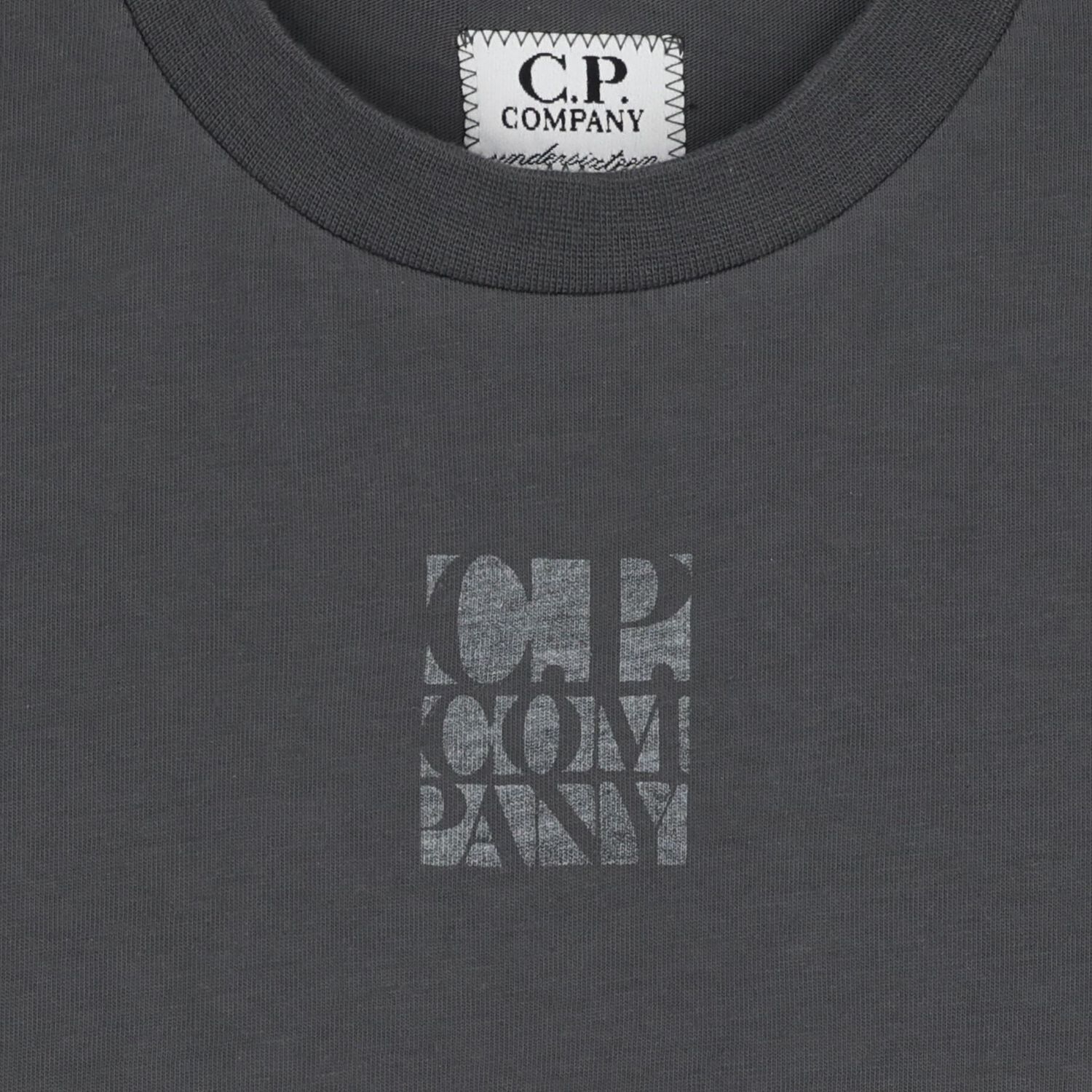 Boys Grey Logo T-Shirt , 1, hi-res