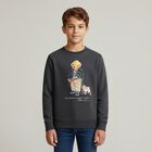 Boys Grey Polo Bear Logo Sweatshirt, 1, hi-res