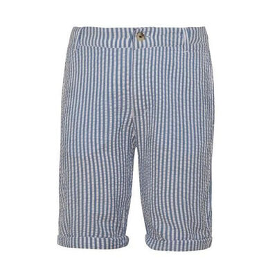 Boys Blue Striped Cotton Shorts