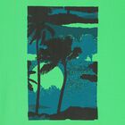 Boys Green Palm Tree T-Shirt, 1, hi-res