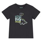 Younger Boys Grey Dinosaur T-Shirt, 2, hi-res