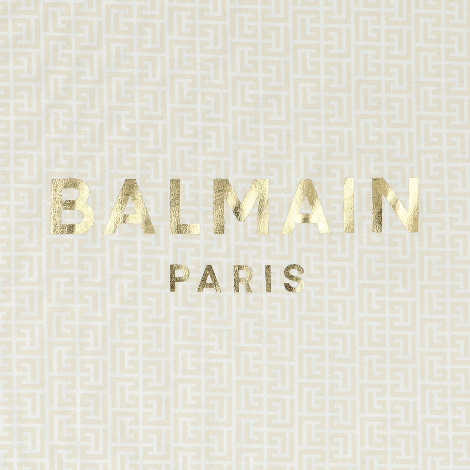 Beige & Gold Logo Blanket, 1, hi-res image number null