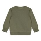 Baby Boys Green Polo Bear Logo Sweatshirt, 1, hi-res