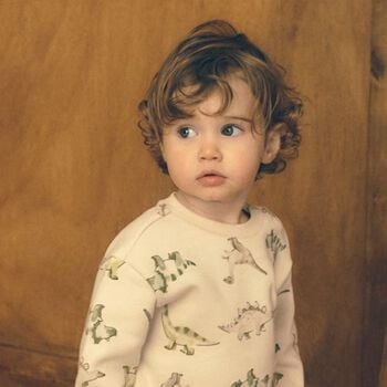 Younger Boys Beige Dinosaur Sweatshirt