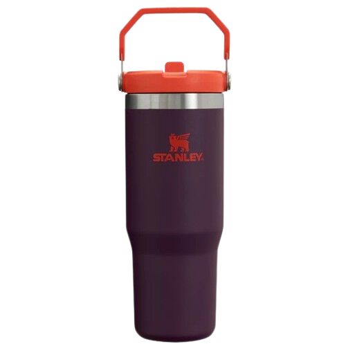 Stanley Orange & Purple Ice Flow Flip Straw Tumbler | Junior