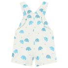 Baby Boys Turquoise & White Dungaree Set, 1, hi-res