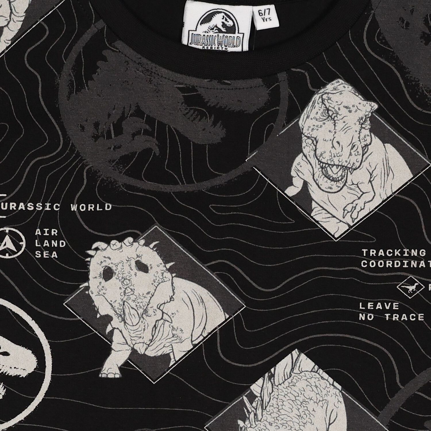 Boys Black Jurassic Shorts Set, 1, hi-res