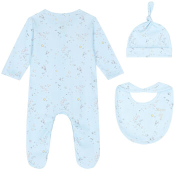 Baby Boys Blue Bird & Butterfly Babygrow Set