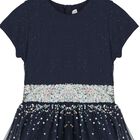 Girls Navy Blue Embellished Tulle Dress, 1, hi-res